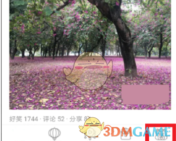 吃瓜！董小姐波及私募圈